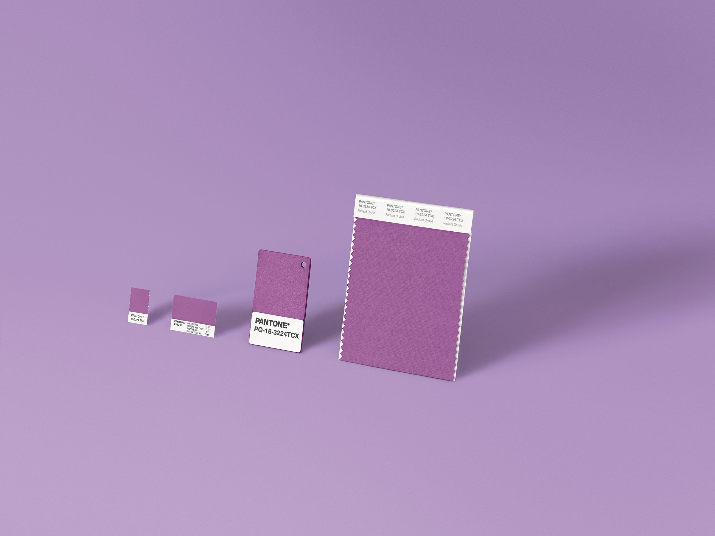 Nathan-Kraxberger-Pantone-13