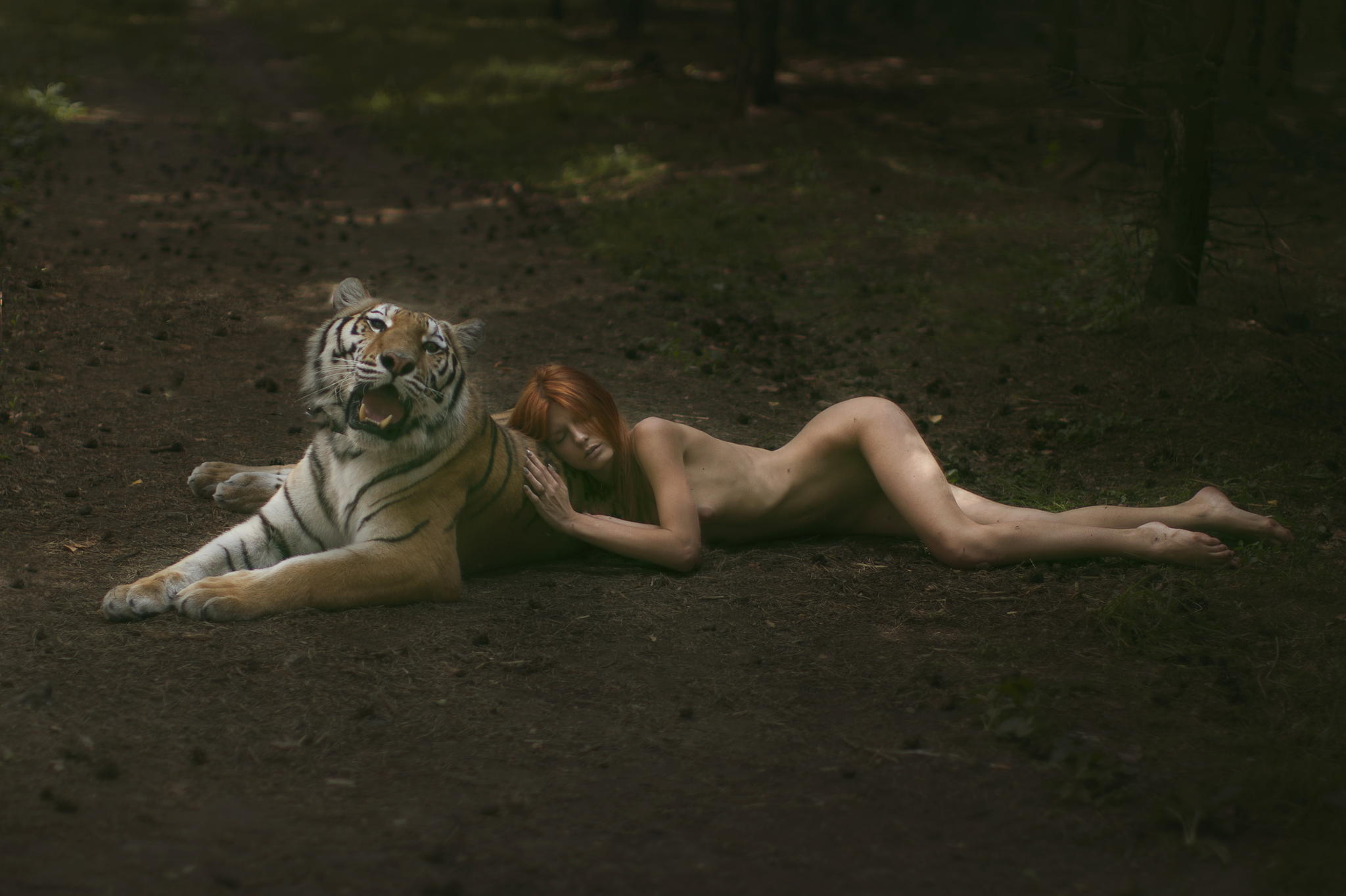 Well-hello-Mr-Bear-10