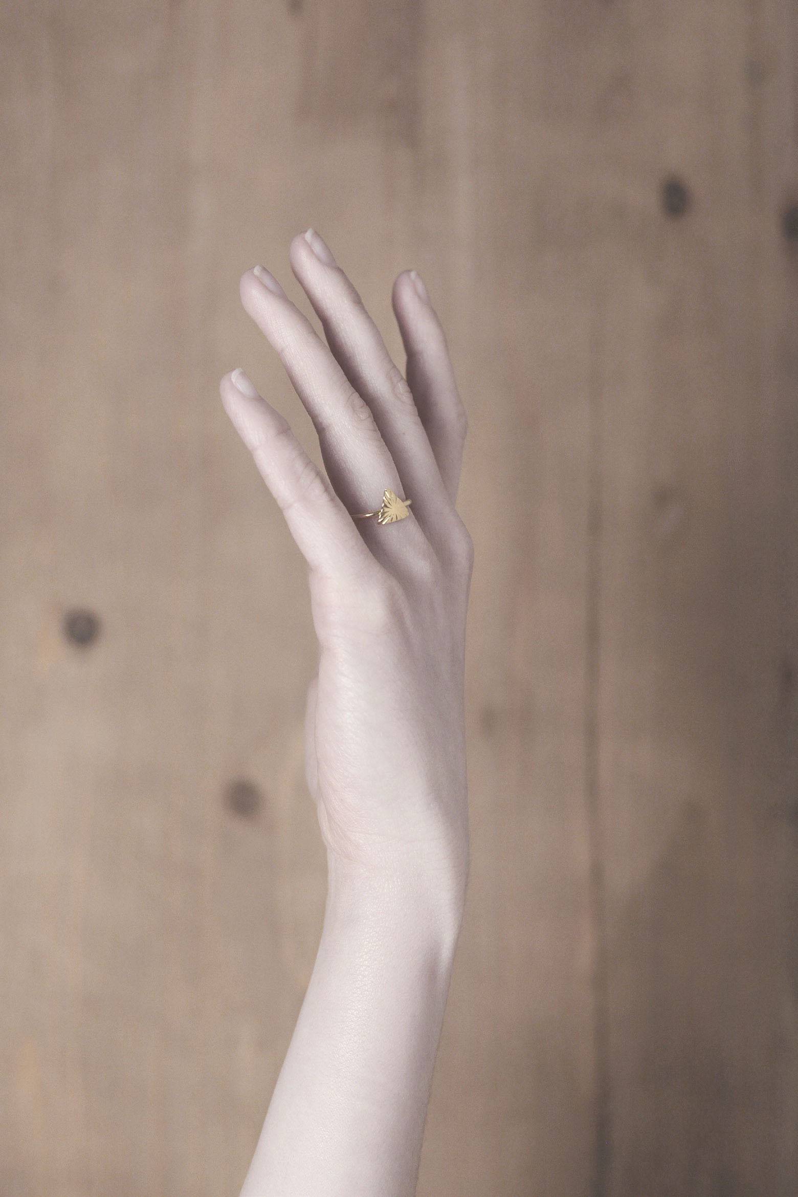 ossum-campaign-beatrizpalacios-7