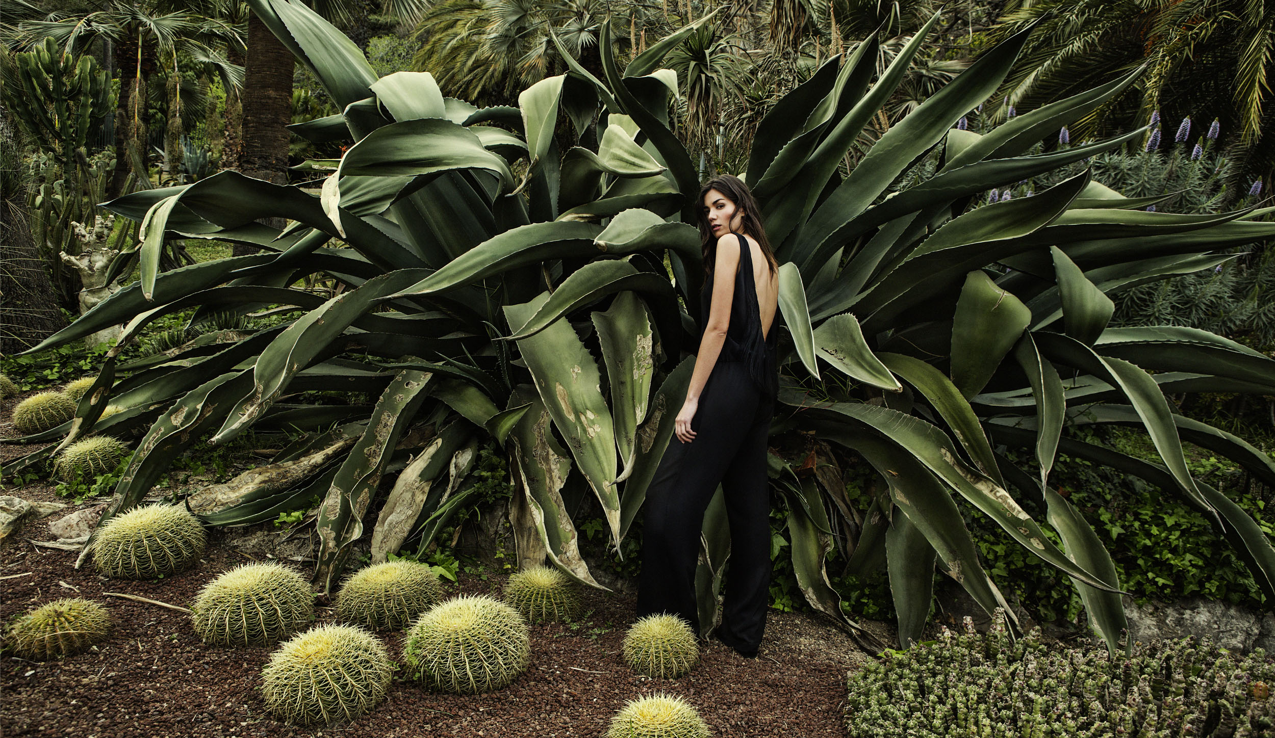 10_stradivarius_8247ret2