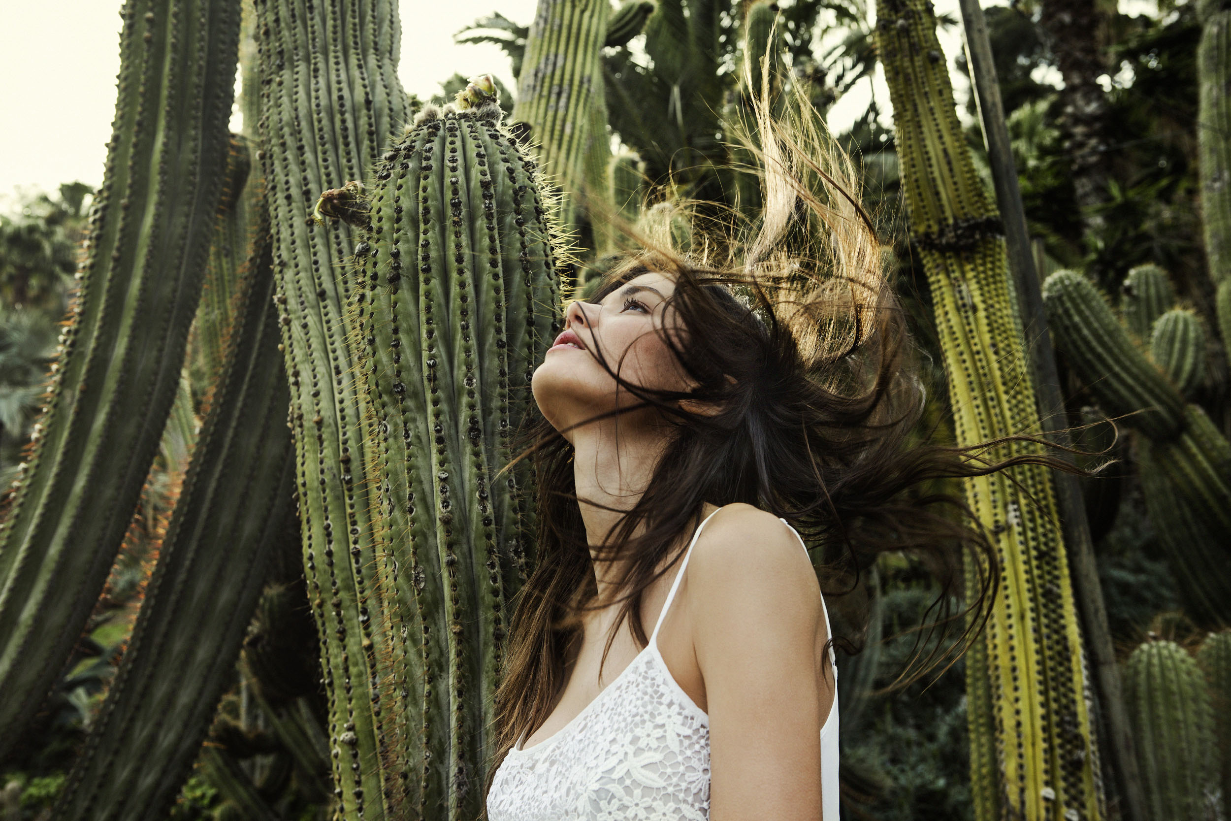 13_stradivarius_7968retruido