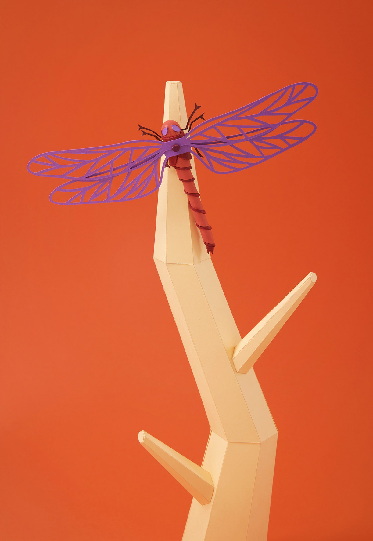 Hermes Museum of Supernatural History-20