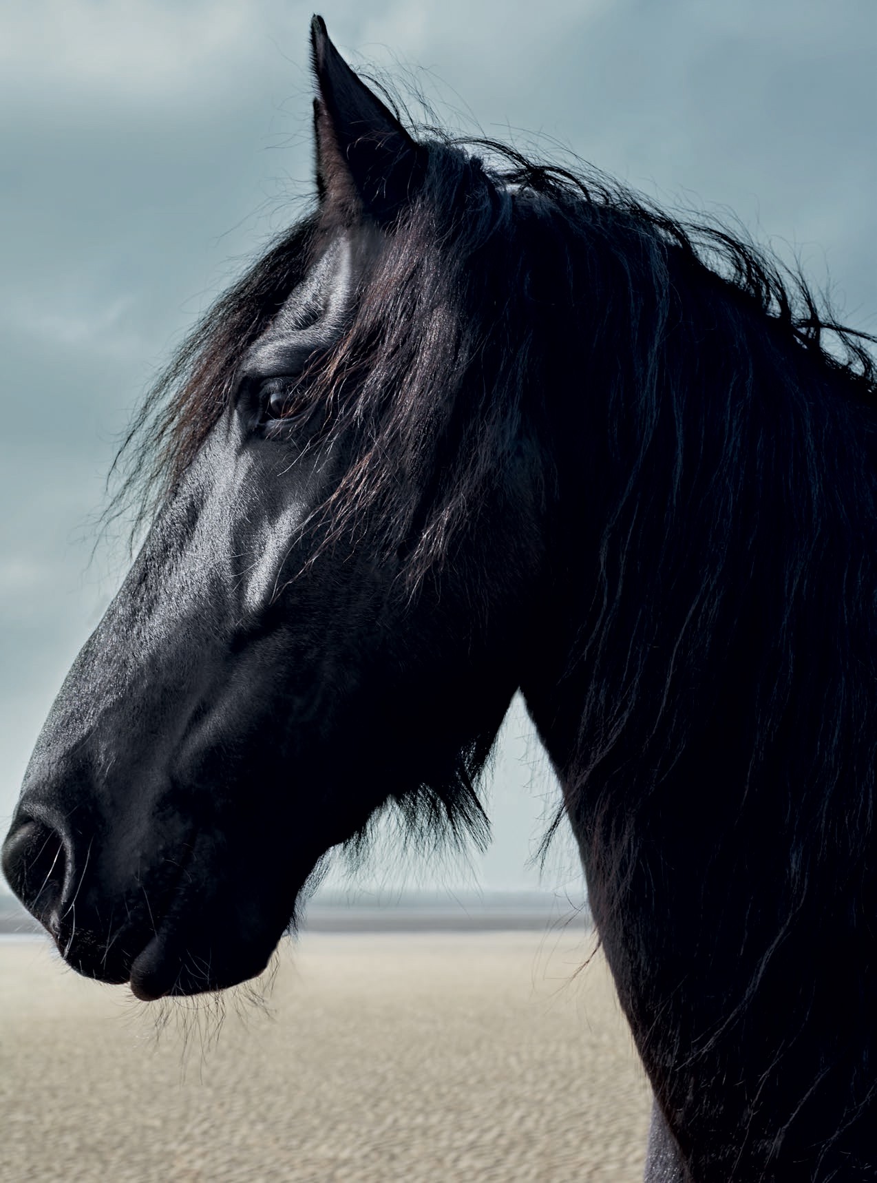 Harpers_Bazaar_UK-July_2016-Hollie_May_Saker-by-Agata_Pospiezynska-07