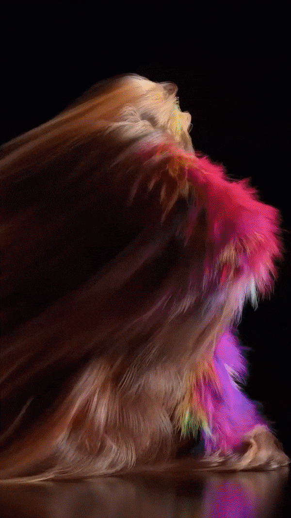 universal_everything_cover