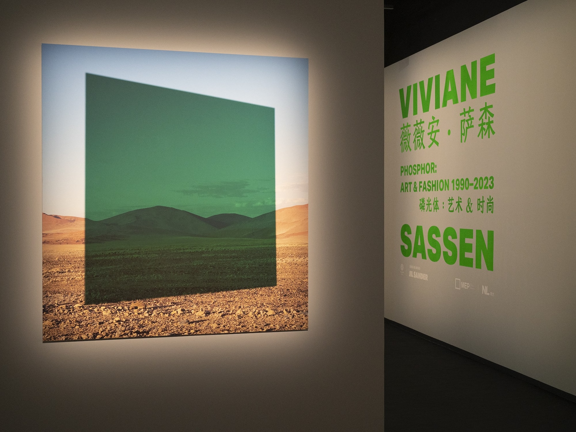薇薇安·萨森《磷光体: 艺术 & 时尚 1990-2023》